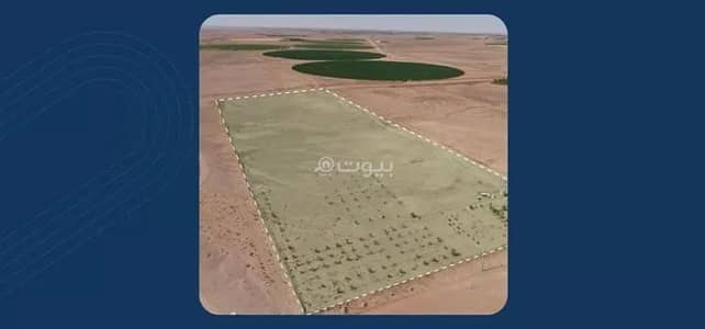 ارض  للبيع في بقعاء - أرض للبيع في شارع شارع , مدينة بقعاء, منطقة حائل