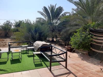 Land for Sale in Al Ammariyah Farms, Al Ammariyah Riyadh Region - Land for sale on Al-Imariyah Street 341, Al-Imariyah Farms neighborhood, Al-Imariyah Farms City, Riyadh Region