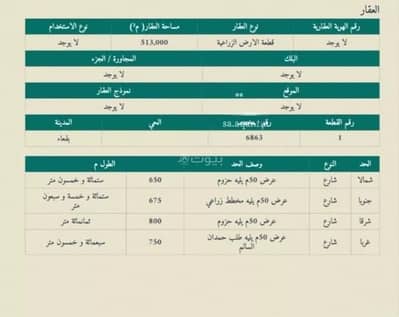 Agriculture Plot for Sale in Dst C6, Baqaa - Land For Sale in Ha'il Region, Buka'a - Residential Plot