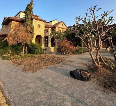 Complex for Rent in North Jeddah, Jeddah - Complex For Rent in Al Andalus, Jeddah