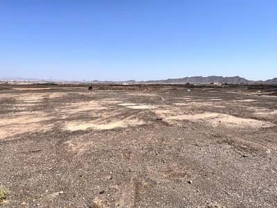 Land for Rent in Wadi Al Battan, Madina - Land for rent in Wadi Al-Batan neighborhood, Medina city, Al-Madina Al-Munawwara region