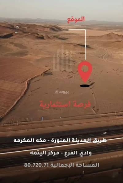ارض زراعية  للبيع في وادي النقيع - قطعة أرض زراعية للبيع في وادي الناقع