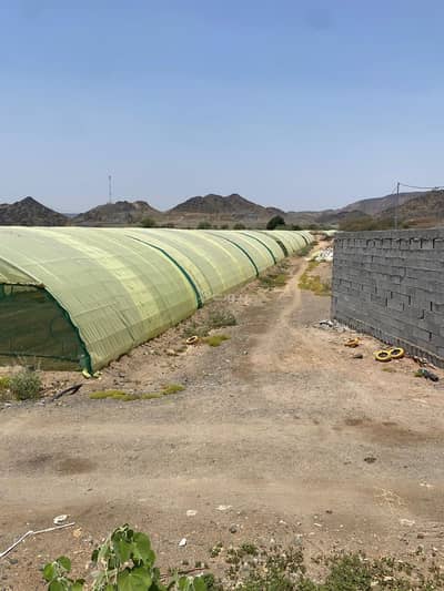 1 Bedroom Farm for Sale in Jeddah - Farm 1 bedroom 3000000 SAR - 87702362