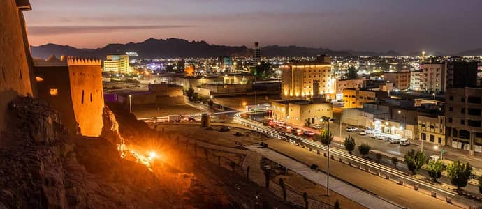 قطاعات الاستثمار في حائل .. فرص واعدة في قلب المملكة