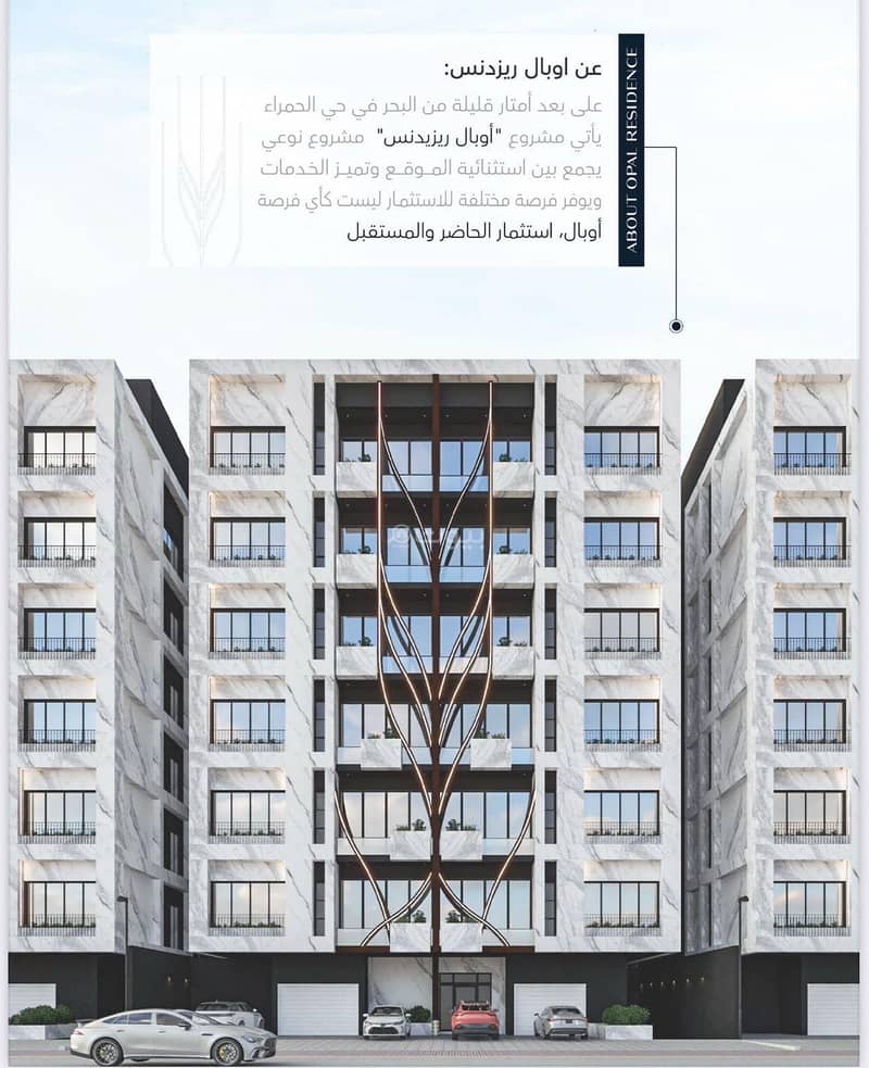شقة غرفتين لاستثمار حي الحمراء شقة غرفتين لاستثمار حي الحمراء