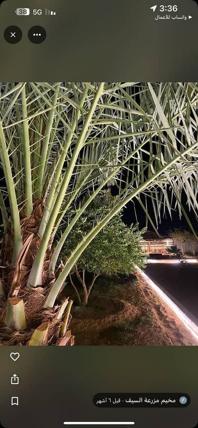 مزرعة 3 غرف نوم للبيع في هجره الذيبيه وخضراء - مزرعة للبيع في بالمشاعلة