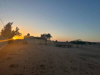 Farm for Sale in Dst C5, Huraymila - Farm for sale in Harimla