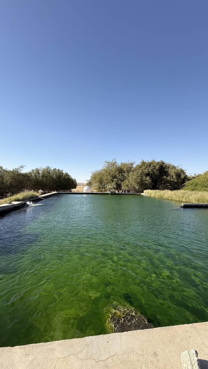 Land in Wurat Farms 25000000 SAR - 87737015