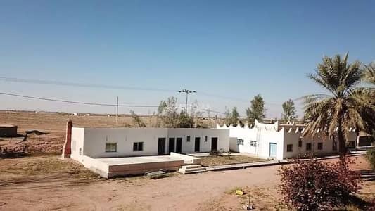 مزرعة  للبيع في فيضه بن حميد - مزرعة للبيع في شارع شارع , حي فيضه بن حميد, مدينة فيضه بن حميد, منطقة القصيم