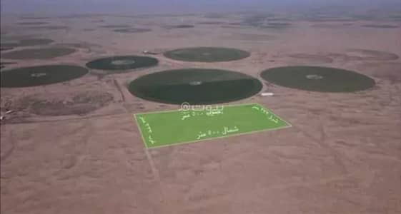 مزرعة 5 غرف نوم للبيع في الابيتر 1 - مزرعة للبيع في الابيتر