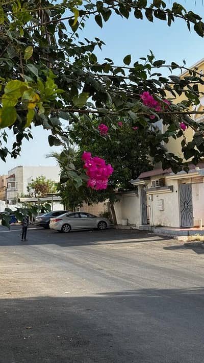 فلیٹ 1 غرفة نوم للايجار في شمال جدة، جدة - شقة للإيجر في النهضة، شمال جدة