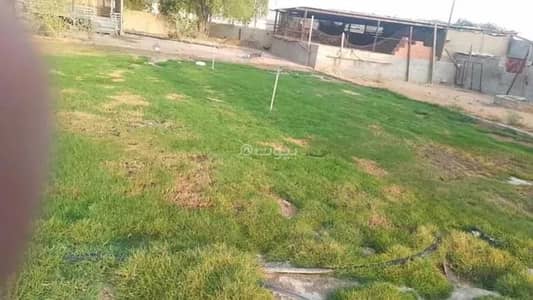 5 Bedroom Farm for Sale in Dhurma - Farm For Sale in Dhurma