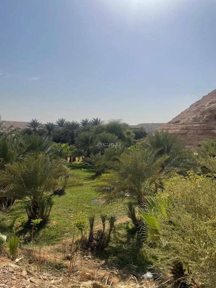 Farm For Sale in Uraidh, Riyadh Farm For Sale in Uraidh, Riyadh