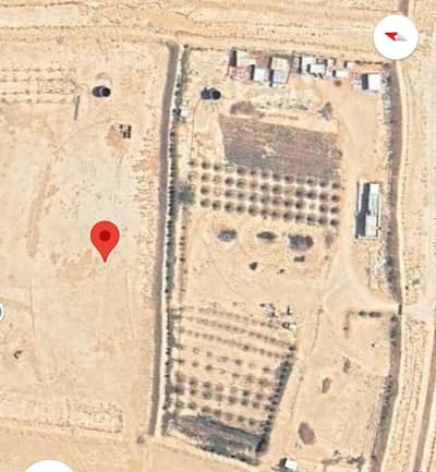 1 Bedroom Farm for Sale in Al Qasab Farms, Al Qasab Riyadh Region - Farm for sale in Al-Qasab Farms, Al-Qasab area, Riyadh