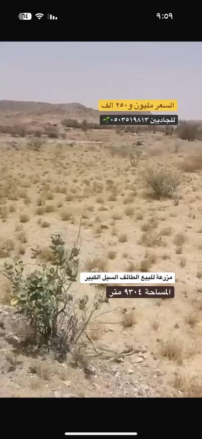 مزرعة  للبيع في السيل الكبير، الطائف - مزرعه للبيع الطائف السيل الكبير