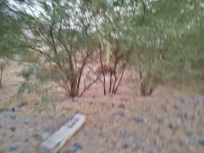 Residential Land for Sale in Shaeb Amir Al Jadid, Makkah - Land for sale in Mecca, Plan 9