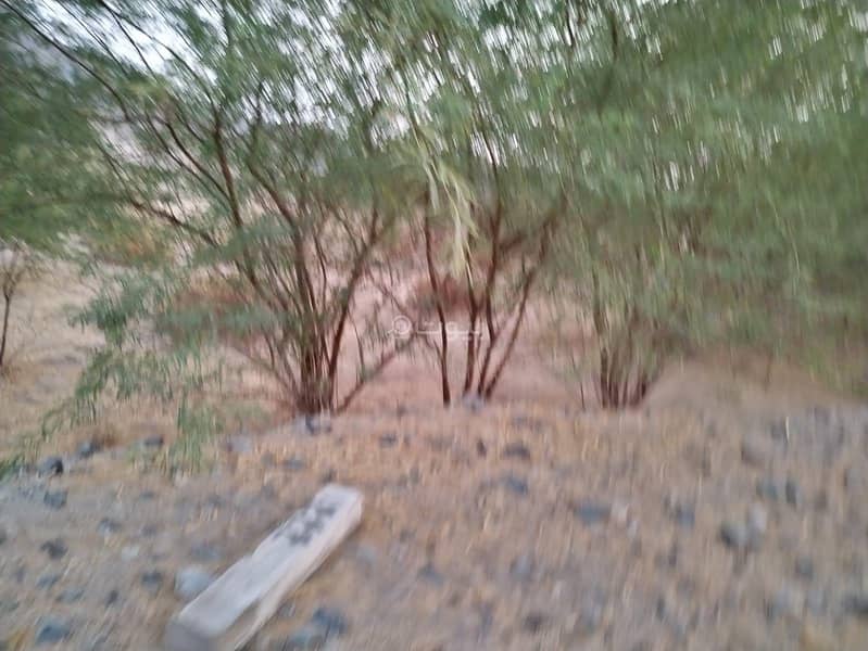 Land for sale in Mecca, Plan 9