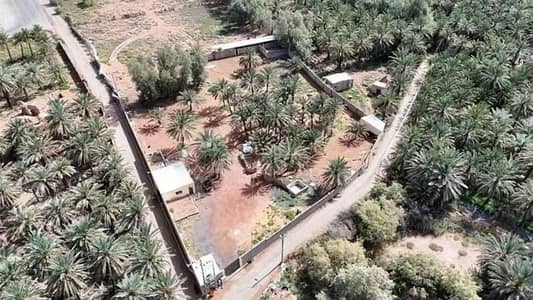 مزرعة 2 غرفة نوم للبيع في السويفلة الجديد، حائل - مزرعة للبيع في السوائل الجديدة، حائل