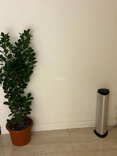 2 Bedroom Flat for Rent in Central Riyadh, Riyadh - For rent, a furnished apartment in Al-Murabba neighborhood.