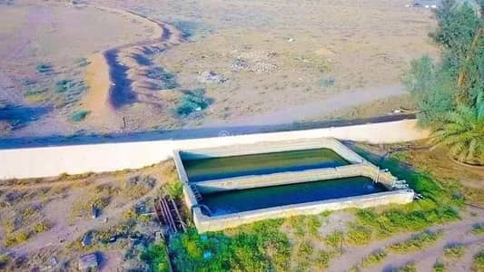 مزرعة 5 غرف نوم للبيع في مزارع البطين، البطين - مزرعة للبيع في مزرعة البطة