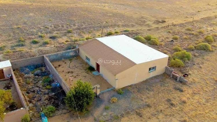 Farm For Sale in Alsadat Farms, Baqaa Farm For Sale in Alsadat Farms, Baqaa