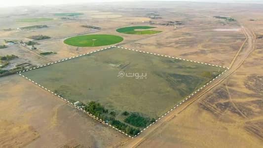 مزرعة 5 غرف نوم للبيع في مزارع الصداة، بقعاء - مزرعة للبيع في مزارع السادات، بقعاء مزرعة 5 غرف نوم للبيع في مزارع الصداة، بقعاء - مزرعة للبيع في مزارع السادات، بقعاء