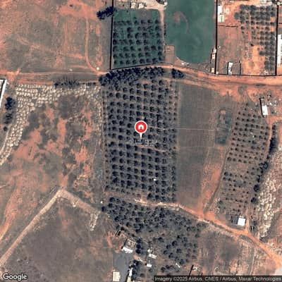 Warehouse for Rent in Alkhubara  Wal Sahabeen - Warehouse For Rent in Alkhubara Wal Sahabeen