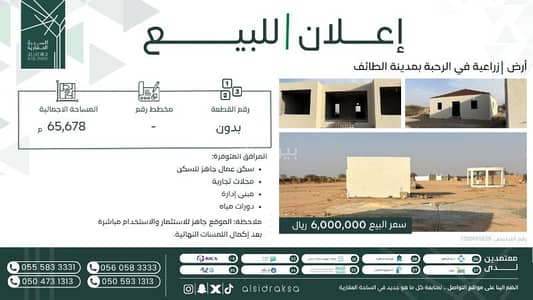 ارض سكنية  للبيع في الحامدية، الطائف - أرض سكنية للبيع في حي الحميدية، الطائف