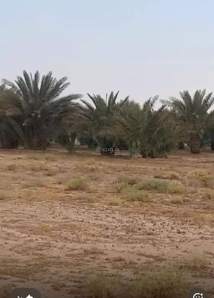 مزرعة للإيجار في الفويلق، منطقة الرياض مزرعة للإيجار في الفويلق، منطقة الرياض
