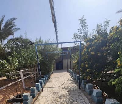4 Bedroom Rest House for Rent in Al Dabiea, Al Dilam - 4 Bedroom Rest House For Rent in Al Dabiea, Al Dilam