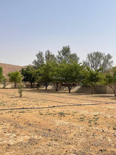 مزرعة 2 غرفة نوم للبيع في العمارية منطقة الرياض - مزرعة للبيع في العمارية منطقة الرياض