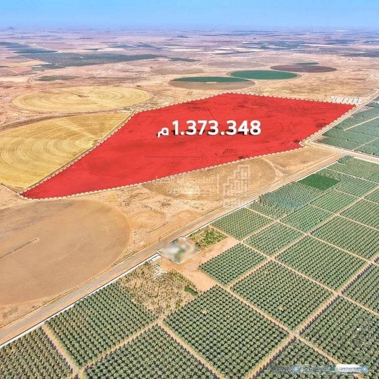 مزرعة للبيع في عيوان الجوا مزرعة للبيع في عيوان الجوا