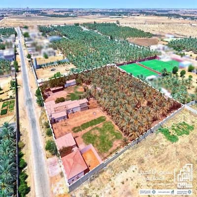 مزرعة 1 غرفة نوم للبيع في النخيل، البكيرية - مزرعة للبيع في النخيل، البكيرية