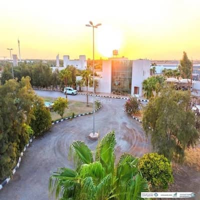 1 Bedroom Farm for Sale in Al Bukayriyah - Farm For Sale in Al Bukayriyah