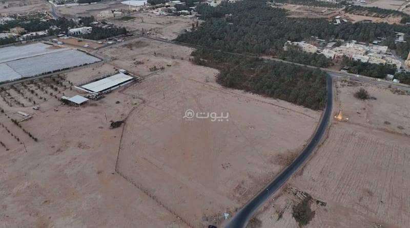 Agricultural Land for Rent – SAR 150,000 per Year