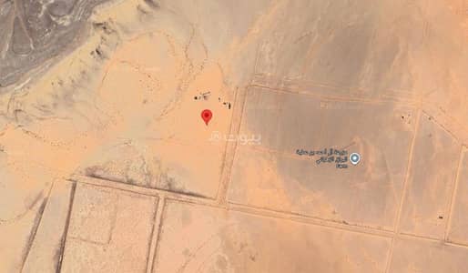 Residential Land for Sale in Shaqra Riyadh Region - Residential Land 1139250 SAR - 87784785