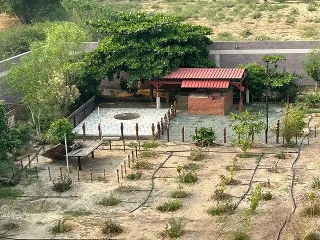 Farm For Sale in Al Yasmin, Sabya Jazan Region Farm For Sale in Al Yasmin, Sabya Jazan Region