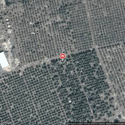 4 Bedroom Farm for Sale in Dua District, Madina - Farm For Sale in Dhiyaa, Medina
