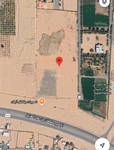 Farm for Rent in Al Shorfa, Najran - Farm For Rent in Al Shorfa, Najran