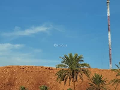 Residential Land for Rent in Al-Taawun District, Shaqra Riyadh Region - Residential land for rent in Al Taawun neighborhood, Shuqraa, Riyadh region.