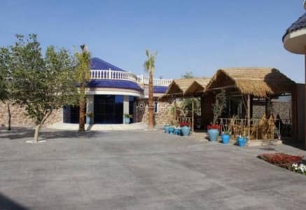 استراحة 6 غرف نوم للايجار في السلام، رماح - 7 Bedroom Resort For Rent in Al Salam, Rumah