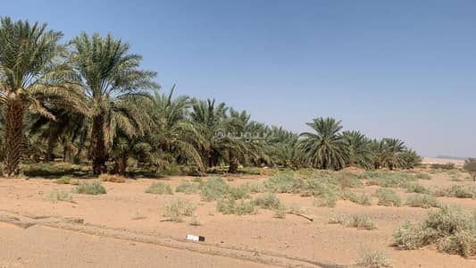 Farm for Sale in Riman - Farm for sale on 000 Street, Al-Badaei Riman North neighborhood, Al-Badaei Riman North city, Al-Qassim region