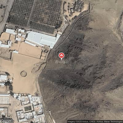 ارض سكنية  للبيع في سد الغابة، المدينة المنورة - ارض زراعية استثمارية