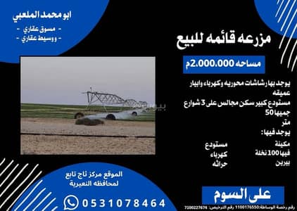 مزرعة 1 غرفة نوم للبيع في ثاج - مزرعة للبيع في ثاج