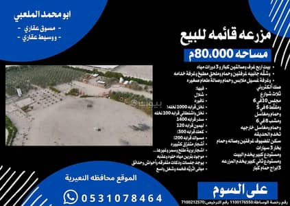 8 Bedroom Farm for Sale in Al Falah, Mulayjah - Farm For Sale in Al Falah, Mulayjah