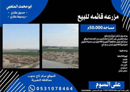 1 Bedroom Farm for Sale in Thaj - Farm for sale in the Eastern Province, 90 kilometers west of the city of Jubail Industrial.