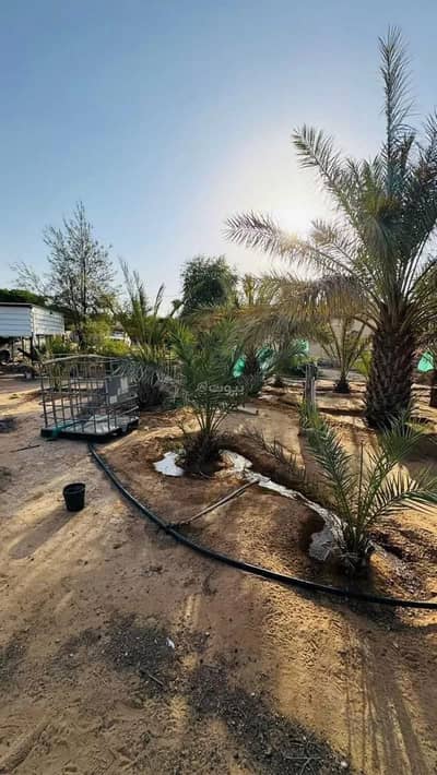 1 Bedroom Farm for Sale in Buraydah Al Qassim Region - Farm For Sale in Buraydah Al Qassim Region