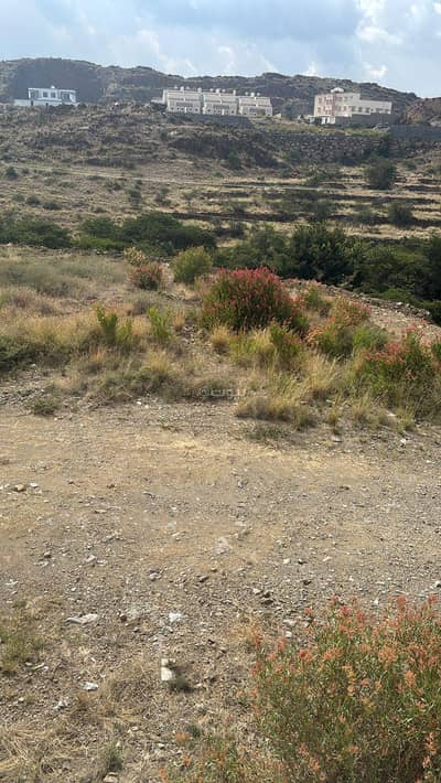 ارض سكنية  للبيع في التعاون، أبها - أرض سكنية للبيع في التعاون، أبها