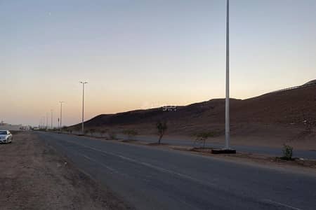 ارض سكنية  للبيع في الخضراء، المدينة المنورة - أرض سكنية للبيع في الخضراء، المدينة المنورة