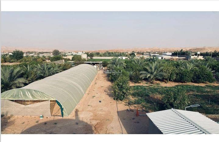 Farm For Rent In Hijrat AlAwsat Farm For Rent In Hijrat AlAwsat